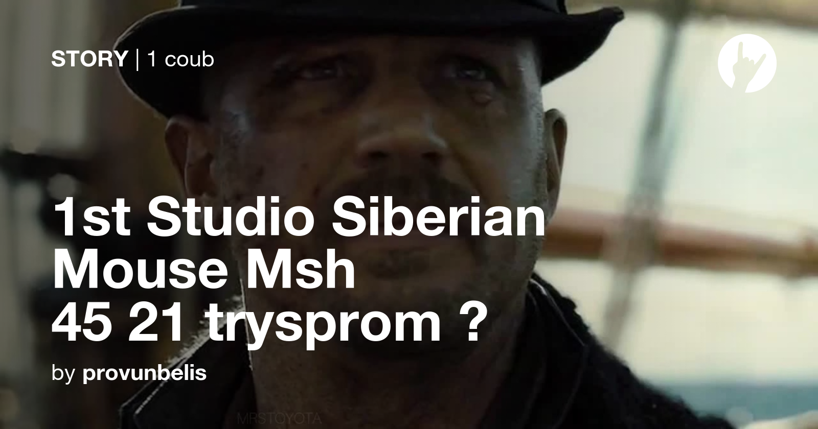 1st studio siberian mouse msh